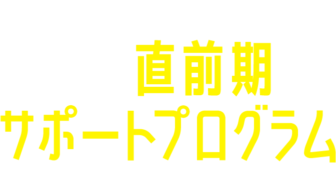 サポートプログラム