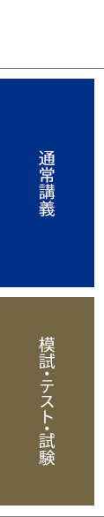 オンラインコーススタンダードWEB年間スケジュール